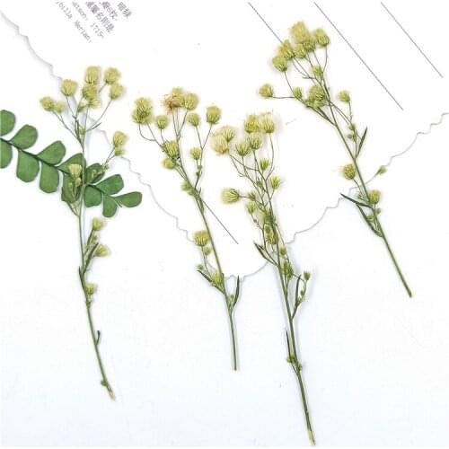 16pcs,Natural Pressed eternal Flowers with branches,DIY Wedding invitation Craft gift Bookmark Decoration,Scented candle decor