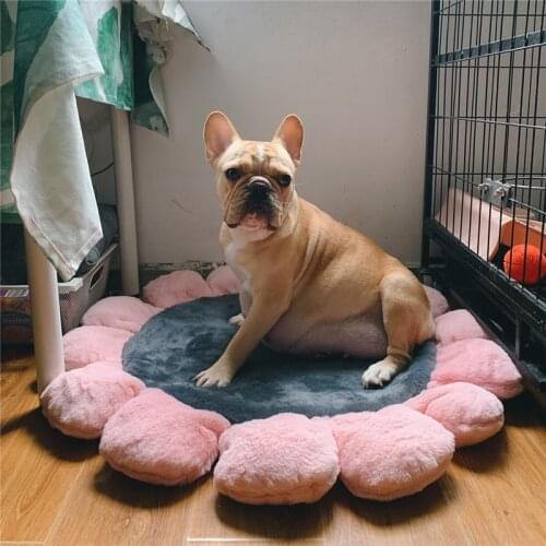 2020 new pet feeding mat Flower pet mat double layer waterproof cat litter mat Multiple colors to choose pet dog cat kennel mat
