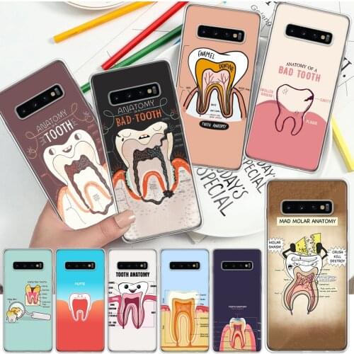 NEW ARRIVAL Dental Anatomy Bad Tooth Soft Cover Phone Case For Samsung Galaxy S10 S21 S20 FE S9 S8 S7 Note 10 9 8 Plus Ultra Lit