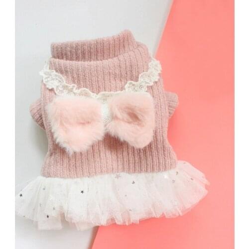 Autumn and Winter Sweet Dog Dress Thick Warm Pet Clothes for Small Dogs Poodle Bichon Chihuahua Princess Skirt Yorkshire Outfit