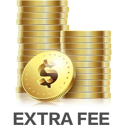 Nieuwe Speciale Betaling Link Voor Extra Verzendkosten Of Extra Betalen Op De Bestelling Standaard Of Gewone Verzending