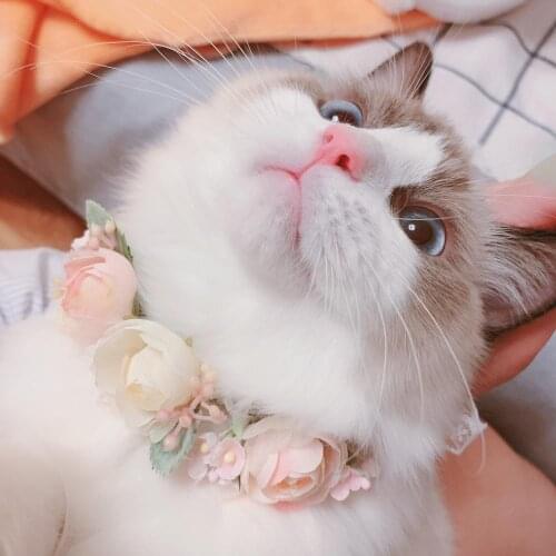 Pet Accessories Dog Necklace Cat HandmadeEuropean tea rose artificial flower headdress