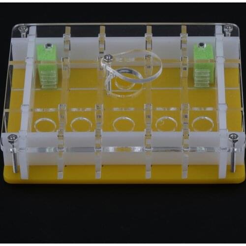 Clear Ant Feeding Nursery Box Ant Farm House Castle For Insect Ant Reptile