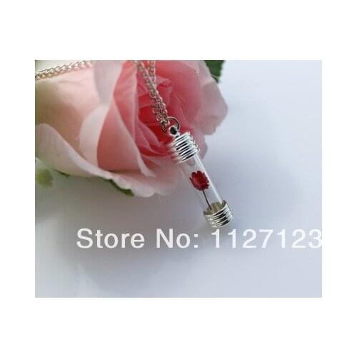 Free ship!!!20sets 6mm Straight tube Wishing Bottle pendant/glass vial pendant +silver plated base