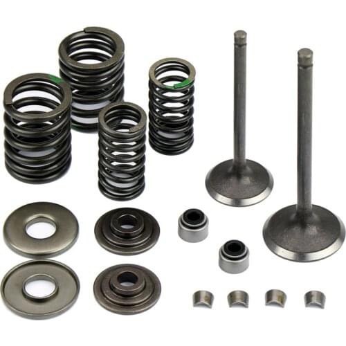 Valve Oil Seal Kit Spring for Majesty YP250 69MM LH260 300cc ATV Manco Jiangsu Linhai Intake Exhaust Assembly Valves