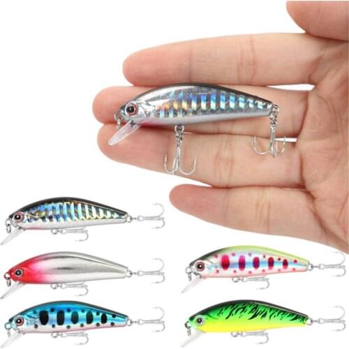 1Pcs Sinking Minnow Fishing Lure 5.5cm 6.5g Crankbait Hard Iscas Artificial Plastic Bait Pike Bass Trout Jerkbait Fishing Tackle