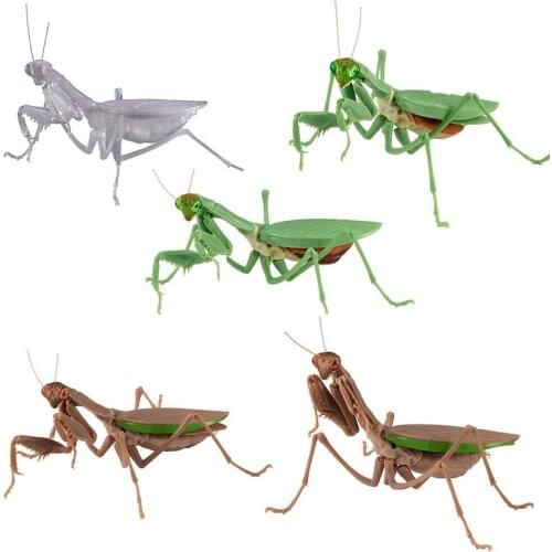 Japan BANDAI Gashapon Capsule Toys Insect Reptiles Model 1/12 Joint Movable Mantis Arthropod