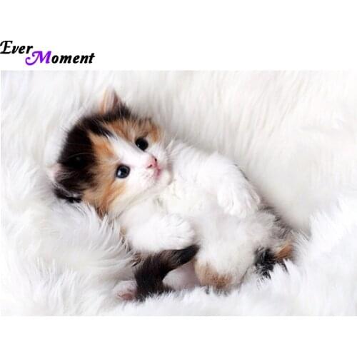 New arrive needlework diy diamond painting pasted painting square drill fashion home decoration lovely cat free shipping ASF017