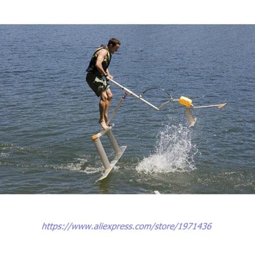 Guangzhou Factory Amusement Park Waterpark Equipment Water Bike Bird Waterpark Bicycle