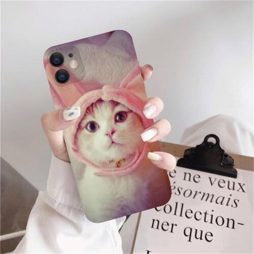 Phone Case For iPhone 12 Pro 11 Max Mini SE 2020 6 6S 7 8 Plus 5 5S XS XR X Cute Cat Painted Ultra Thin Soft Silicone Back Cover