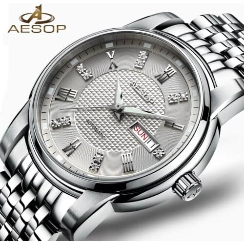 2018 AESOP Mens Watches Top Brand Luxury Automatic Mechanical Watch Casual Full Steel Sapphire Waterproof Analog Wristwatch Men