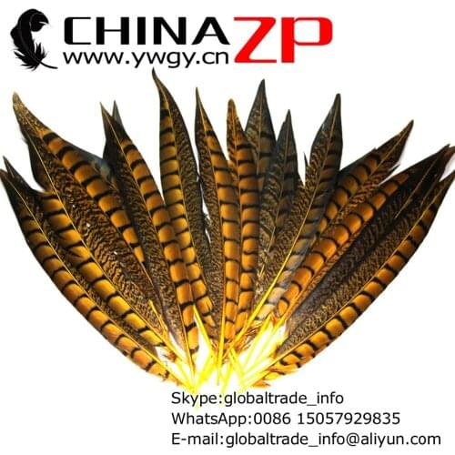 CHINAZP Factory Cheap Wholesale 30-35cm 500pcs/lot Unique Dyed Yellow Lady Amherst Pheasant Feather