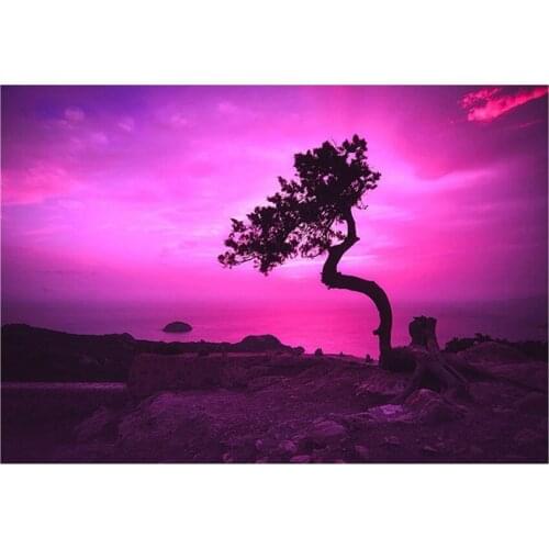 Sunset Lonely Tree 5D Diy Diamond Painting Cross Stitch kits Full Rhinestones Mosaic Inlay Diamond Embroidery sale 3d pictures