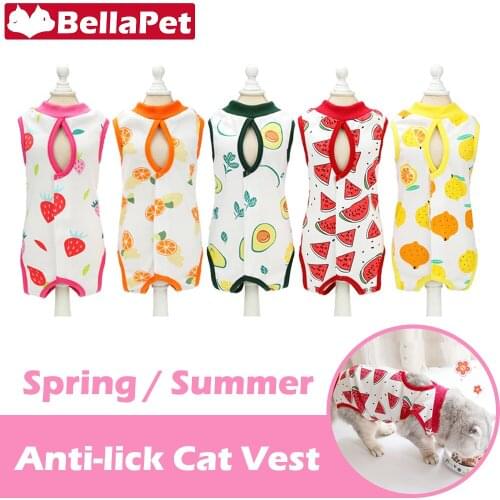 Cat Clothes Summer Dog Clothes for Small Dogs Cute Clothing for Cat Clothes Accessories Spaying Neutering Weaning Anti-lick Vest