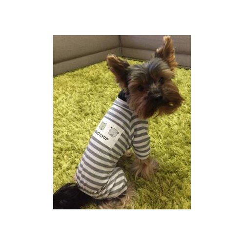 Good Quality Soft cotton dog clothes cute pet dog Costume Yorkshire Chihuahua small dog jumpsuit New dog