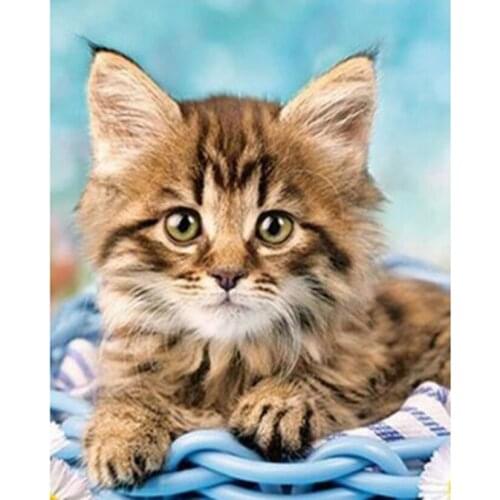 5D DIY Diamond Painting Animal Picture Cute Kitten King Picture Square/Round Diamond Cross Stitch Decorative Painting Art TX193