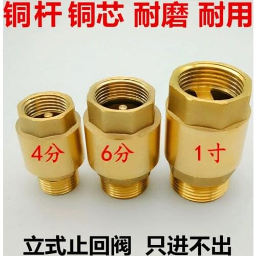 Copper thickened inside and outside the wire check valve water meter spring check valve vertical 4 points 6 points 1 inch