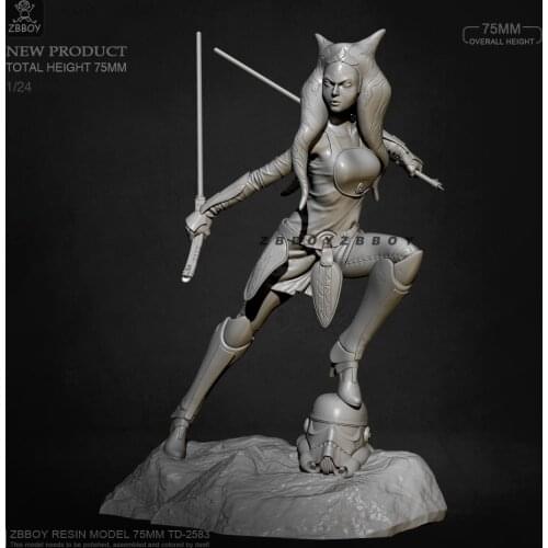 H75mm 1/24 Resin model kits figure colorless and self-assembled TD-2583