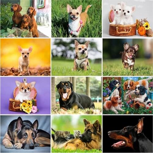 DIY 5D Diamond Painting dog Animal Cross Stitch Diamond Embroidery full round drill Rhinestones art Wall Sticker home decor