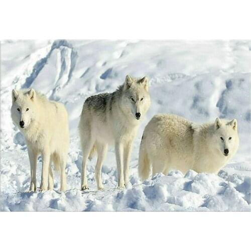 Full square / round diamond embroidery animal 5d diamond painting three wolves winter stickers diamond mosaic wolf diamond art