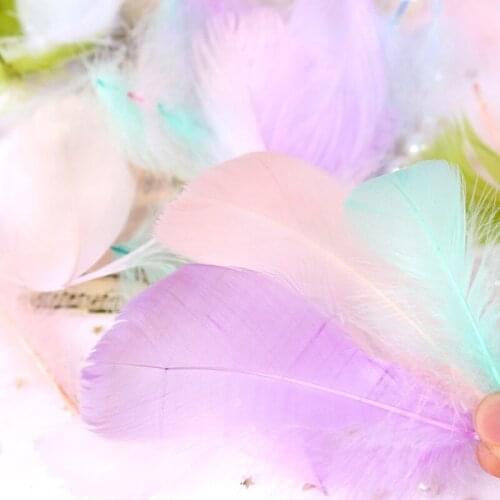 Natural Plumes 6-12cm Colorful Swan Feathers Plume For Craft Wedding Party Home Decoration Gift Wrapping Box Filling 100pcs