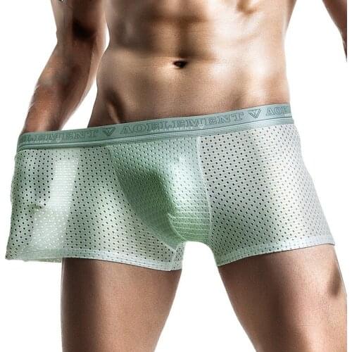 Sexy Mens Boxers Underwear Ice Silk Panties Man Breathable Mesh Pouch Underpants Male Solid Boxershorts Cueca Plus Size L-3XL