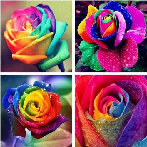 5D DIY diamond painting colorful rose cross stitch diamond embroidery mosaic full square round romantic wdding gift