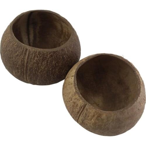 Reusable Coconut Bowls made from real coconut shells