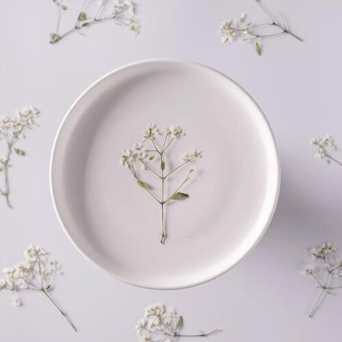 Real Pressed Dried Euphorbia graminea Flower Dry Plants Necklace Making Craft DIY Accessories Artificial Flower Decoration 24Pcs