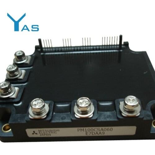 IPM Module PM100CSA060