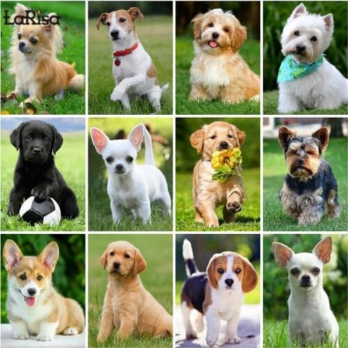5D Diamond Embroidery Dog Cross Stitch Kit Diamond Painting Animals Mosaic Crafts Cross Stitch Home Decoration Family Handicraft