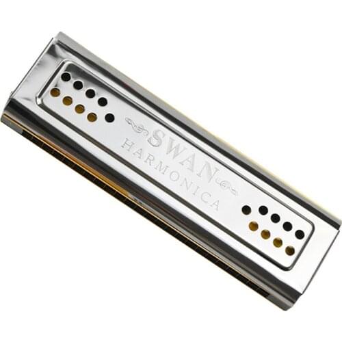 Both Sides Harmonica 24 Holes C And G Double Tones Harmonica Mouth Organ Woodwind Instruments