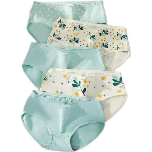 ZJX 5Pcs/lot Underwear Women Panties Comfort 95% Cotton Seamless Womens Cute Print Briefs Soft Breathable Sexy Women Lingerie