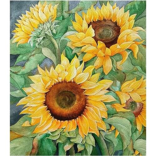 DIY Paint By Numbers on Canvas for Adults Beginners16 inch W x 20 inch L with Paints and Brushes Sunflower
