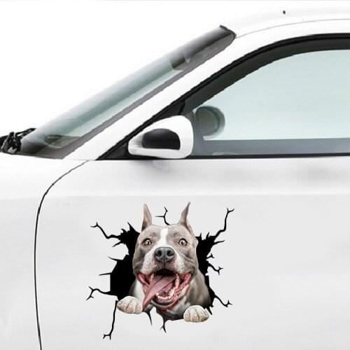 Wall Decor Animals Crack Car Sticker Paper Simulation Innovative Glass Window Sticker Car Decoration Home Decor Decoration