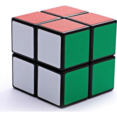 Shengshou 2x2 Matte Sticker Magic Cube Professional Competition 2 Layer Speed Cubes Educational Toys Gift Cubo Magico