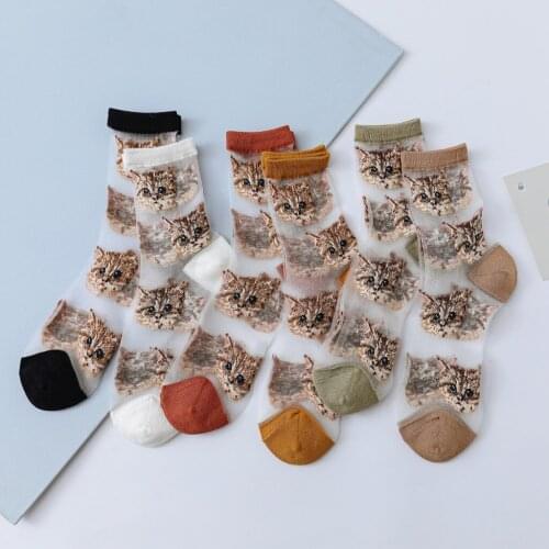 Spring and summer Korean ins cat card socks fashion glass silk crystal cotton womens socks college light and breathable