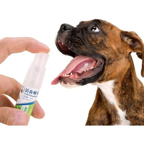 14ml Pet Breath Freshener For Dog And Cat Healthy Dental Care Dog Fresh Breath Spray Freshens Breath Dog Supplies Pet Products