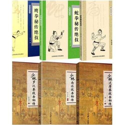 6 PCS Chinese martial arts wushu Kungfu course Shao lin da mo quan lu han quan