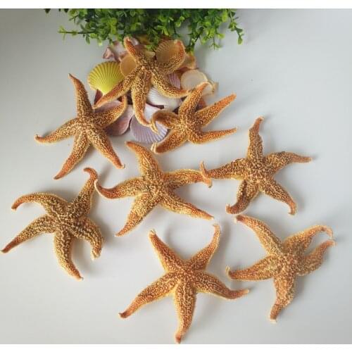 5pcs real sea star Natural Starfish Thorns Sea Starfish Dried Specimens Beidaihe Shell Mediterranean Style Wedding Decoration