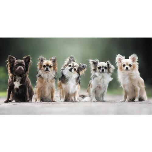 Large pet Series Diy Diamond Painting chihuahua Dog Full Drill Mosaic Rhinestone Embroidery Cross Stitch Kit Decor art YG1153