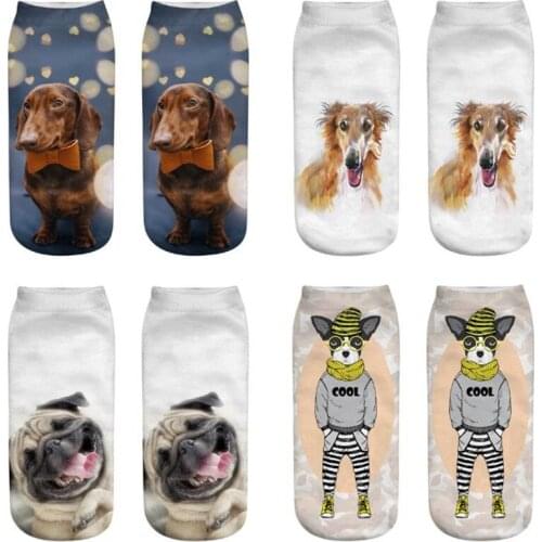 2021New Arrive Fashion 3D-Printed Women Socks Cartoon Animal Husky Rado Hound Golden Retriever Samoyed Sheepdog Lovers Socks