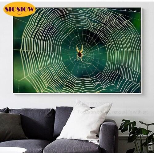 5d Diy Diamond Painting Spider Web Full Square Drill 3D Diamond Mosaic Embroidery Animal Cross Stitch Kits Decor Home Room Gifts