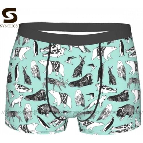 Polar Underwear Plain Hot Custom Trunk Polyester Pouch Youth Boxer Brief