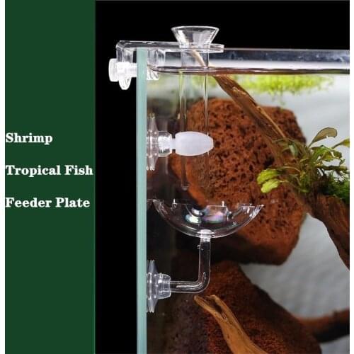 1Set Shrimp Feeding Dish and Feeder Tube Transparent Acrylic Feeder Container for Aquarium Fish Tank