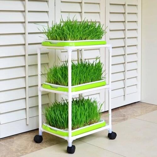 Special Planting pan/Pots Balcony vegetables plastic hot sale Seedling tray sprout plate nursery pots tray box bonsai 3layer