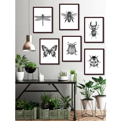 Black and white insect illustration art poster beetle butterfly on the wall HD print canvas painting home decoration frameless