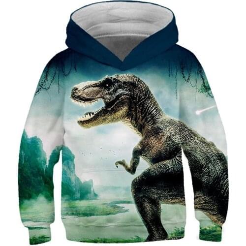 Boys Girls Dinosaur Patterning Hoodies Autumn Winter Teen Kids Animal Hoodie Infantil Toddler Boy Costumes Sweatshirt Clothing
