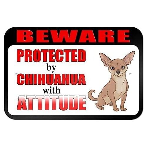 DestinyS Beware Protected by Chihuahua with Attitude 8" X 12" inch Aluminum Metal Sign