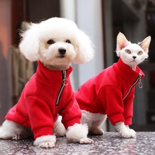 Dog Clothes for Small Dogs Teddy Autumn and Winter Cats Thickening Warm Winter Clothes Cute Sweaters Pet Supplies